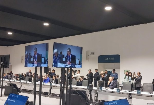 COP29 və COP30 su gündəliyinin irəliləyişi üçün açar tədbirlərdir - BMT AİK