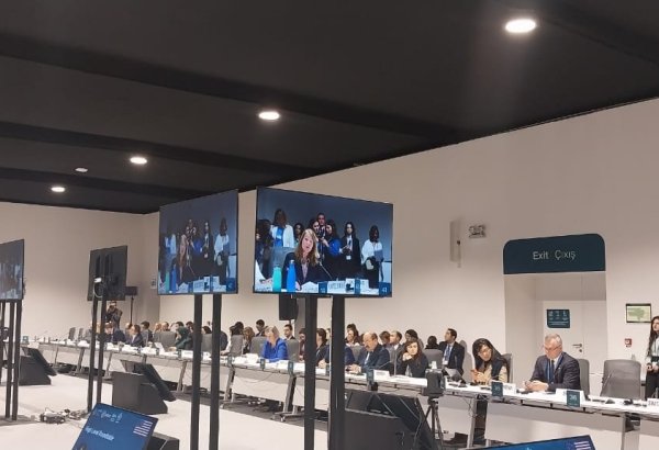 ABŞ su məsələri üzrə Bakı Dialoqunda iştirakını səbirsizliklə gözləyir - Lora Deniel-Devis