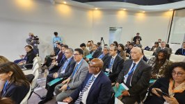 Səhiyyə naziri “İİV və İqlim Dəyişikliyi üzrə Çərçivə Sənədi”nin təqdimatında çıxış edib (FOTO)