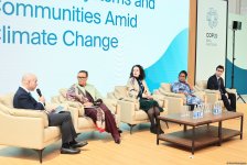COP29 çərçivəsində “İqlim dəyişmələri şəraitində Kiçik ada dövlətləri və icmaların ekosistemləri”
mövzusunda sessiya keçirilib (FOTO)