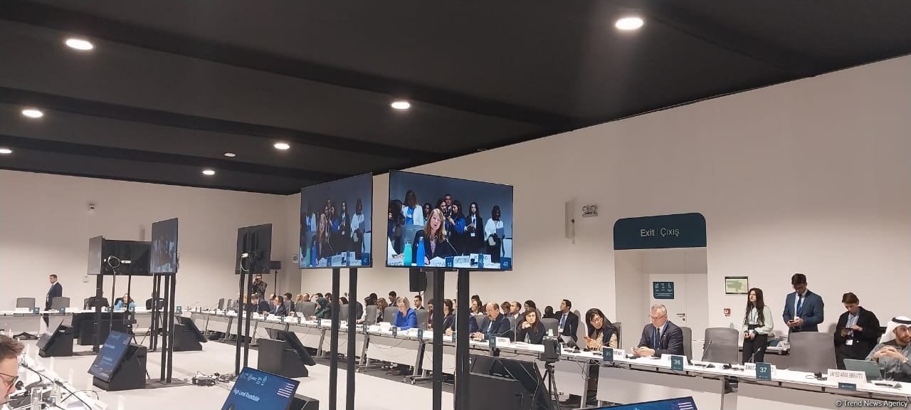 ABŞ su məsələri üzrə Bakı Dialoqunda iştirakını səbirsizliklə gözləyir - Lora Deniel-Devis