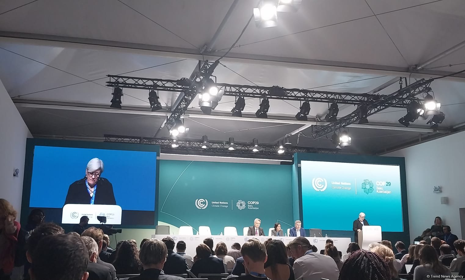COP29-da Paris Sazişinin əsas sahələri üzrə razılığa gəlmək vacibdir - Böyük Britaniya nümayəndəsi