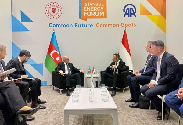 Azərbaycan-Macarıstan enerji üzrə İşçi Qrupunun növbəti iclası gələn il keçiriləcək