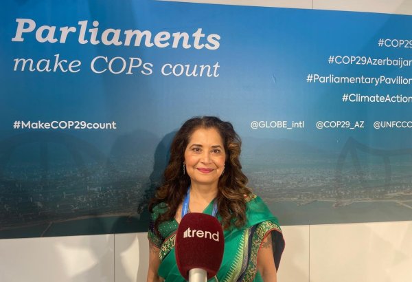 COP for Hope: Ümid edirik ki, COP29 iqlim diplomatiyasında irəliləyişə çevriləcək — “GLOBE”un baş icraçı direktoru (ÖZƏL MÜSAHİBƏ) (FOTO)