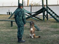 DSX-nin "Şəmkir" sərhəd dəstəsinin xidməti ərazisinə mediatur təşkil olunub (FOTO)