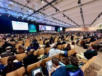 COP29-un yekun plenar iclası keçirilib (FOTO/VİDEO)