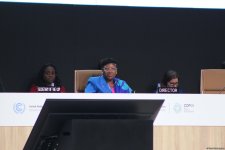 COP29-un yekun plenar iclası keçirilib (FOTO/VİDEO)