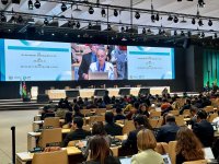 COP29-un yekun plenar iclası keçirilib (FOTO/VİDEO)