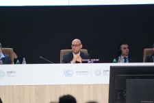 COP29-un yekun plenar iclası keçirilib (FOTO/VİDEO)