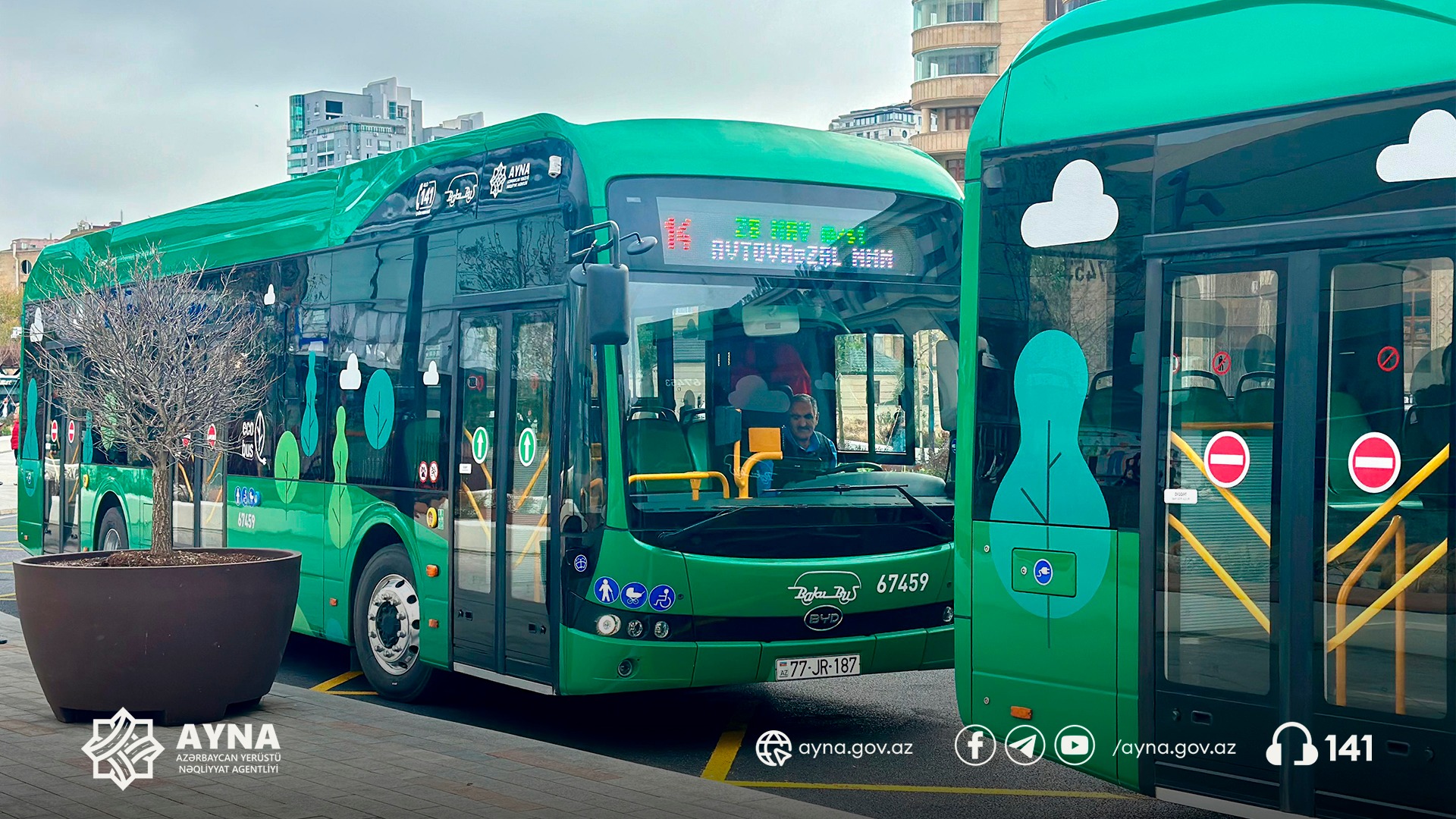 Naxçıvan şəhərində avtobusların neçə faizi elektriklə işləyir? (ÖZƏL)