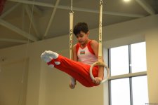 Kişi idman gimnastikası üzrə 29-cu, qadın idman gimnastikası üzrə 8-ci ölkə çempionatı və birinciliyi davam edir (FOTO)