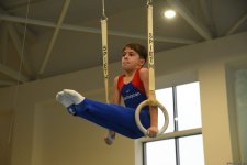 Kişi idman gimnastikası üzrə 29-cu, qadın idman gimnastikası üzrə 8-ci ölkə çempionatı və birinciliyi davam edir (FOTO)