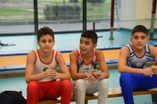 Kişi idman gimnastikası üzrə 29-cu, qadın idman gimnastikası üzrə 8-ci ölkə çempionatı və birinciliyi davam edir (FOTO)