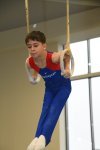Kişi idman gimnastikası üzrə 29-cu, qadın idman gimnastikası üzrə 8-ci ölkə çempionatı və birinciliyi davam edir (FOTO)