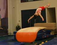 Kişi idman gimnastikası üzrə 29-cu, qadın idman gimnastikası üzrə 8-ci ölkə çempionatı və birinciliyi davam edir (FOTO)