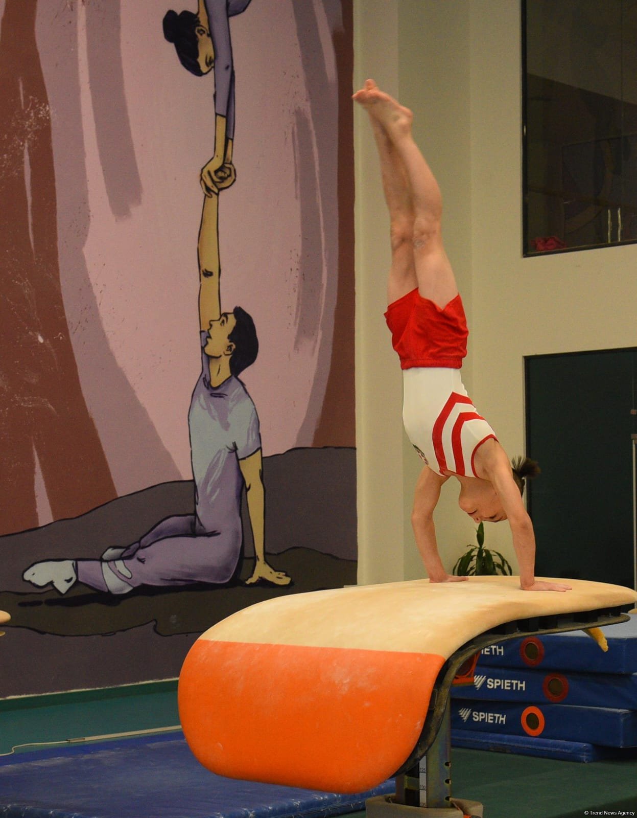 Kişi idman gimnastikası üzrə 29-cu, qadın idman gimnastikası üzrə 8-ci ölkə çempionatı və birinciliyi davam edir (FOTO)
