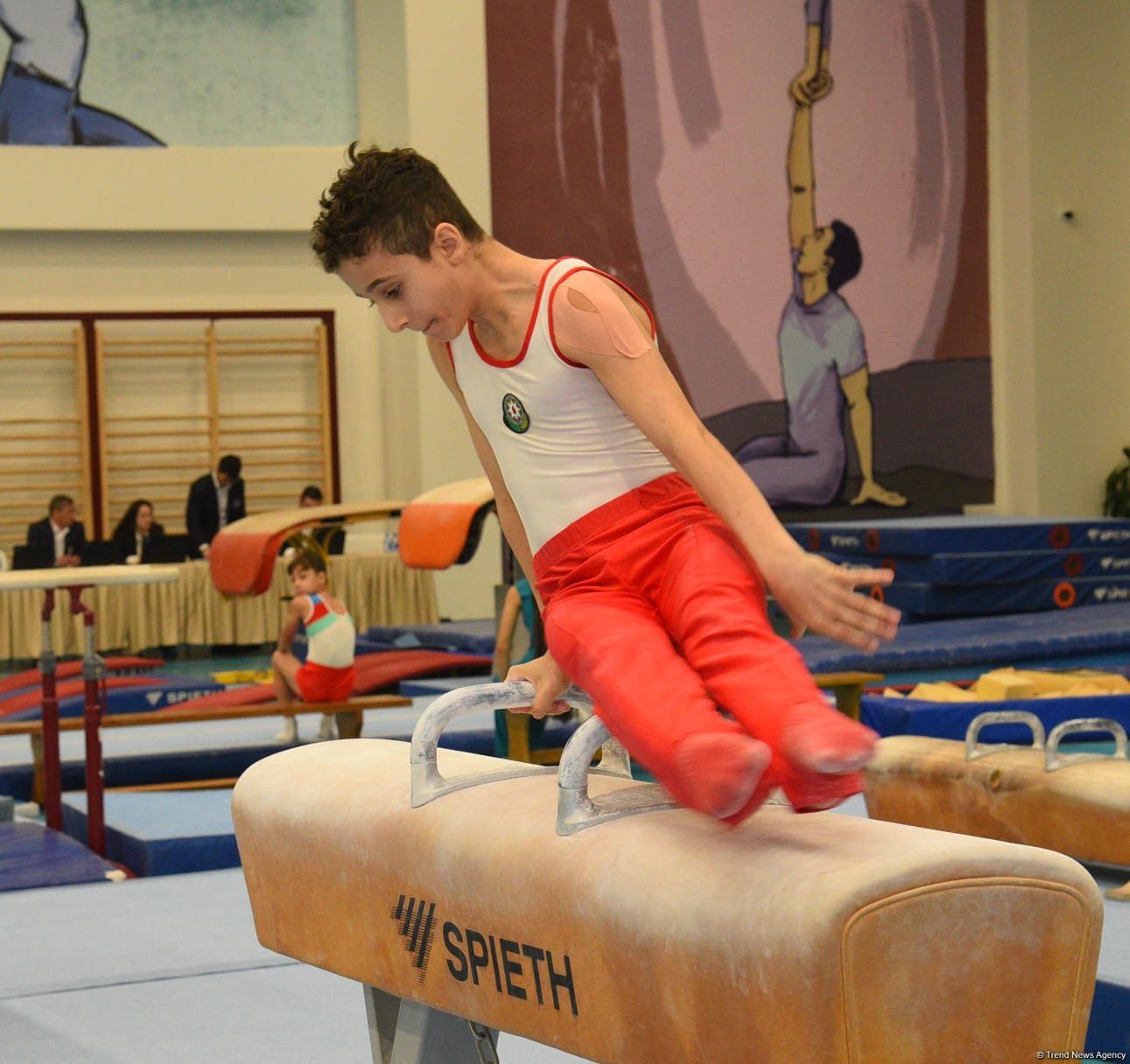 Kişi idman gimnastikası üzrə 29-cu, qadın idman gimnastikası üzrə 8-ci ölkə çempionatı və birinciliyi davam edir (FOTO)