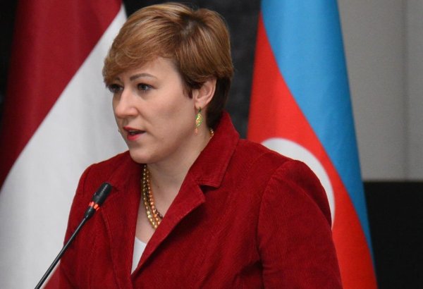“LEF Network Azerbaijan” layihəsinin başa çatdırılma vaxtı açıqlandı