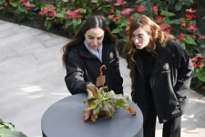 Prezident İlham Əliyev,  Birinci xanım Mehriban Əliyeva və ailə üzvləri Mərkəzi Nəbatat Bağının açılışında iştirak ediblər (FOTO/VİDEO)