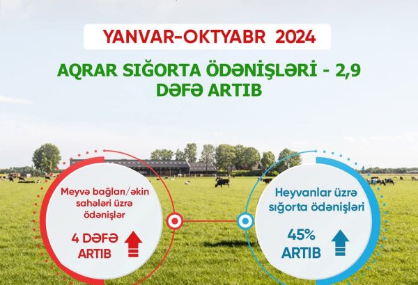 Meyvə bağları və əkin sahələri üzrə aqrar sığorta ödənişləri 4 dəfə artıb