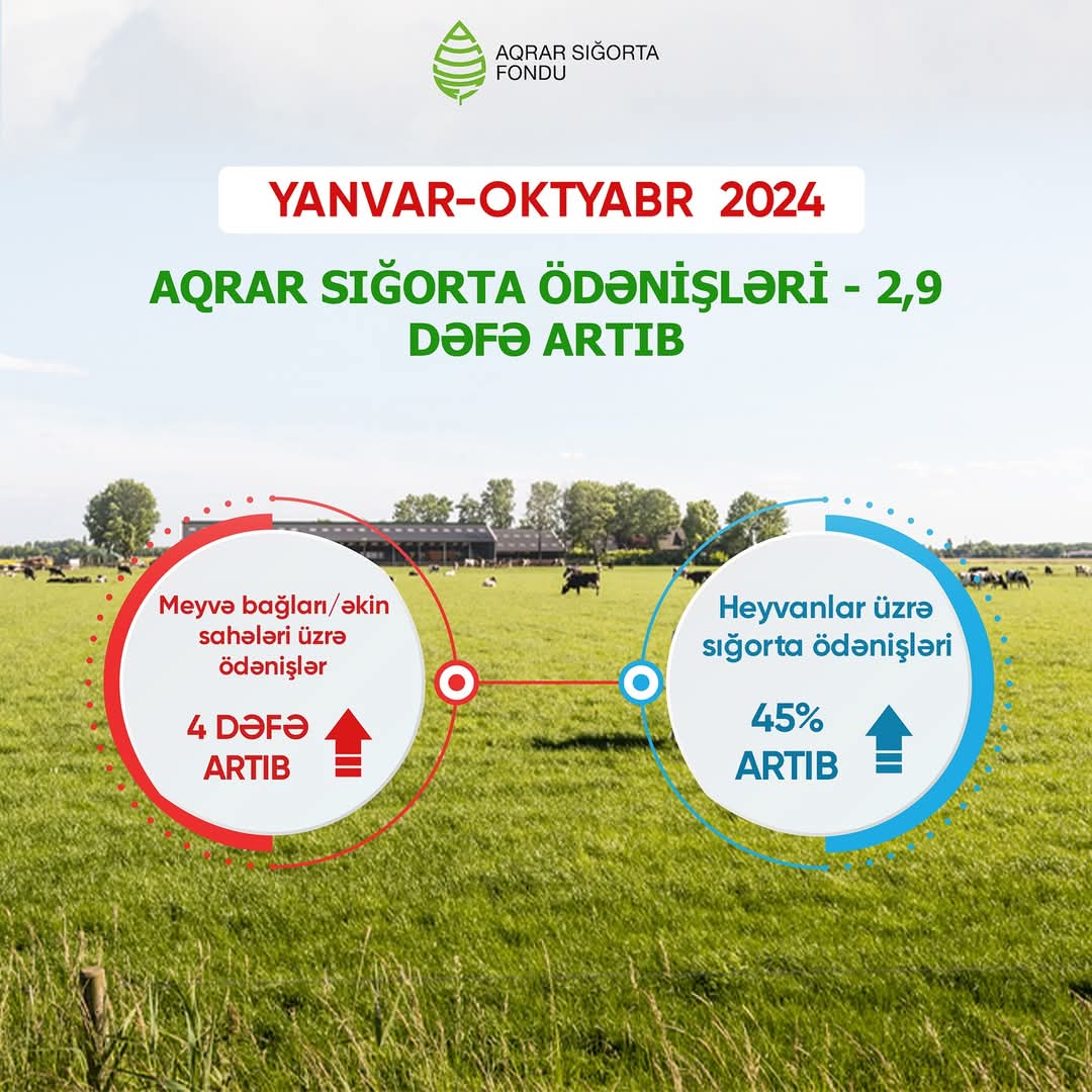 Meyvə bağları və əkin sahələri üzrə aqrar sığorta ödənişləri 4 dəfə artıb
