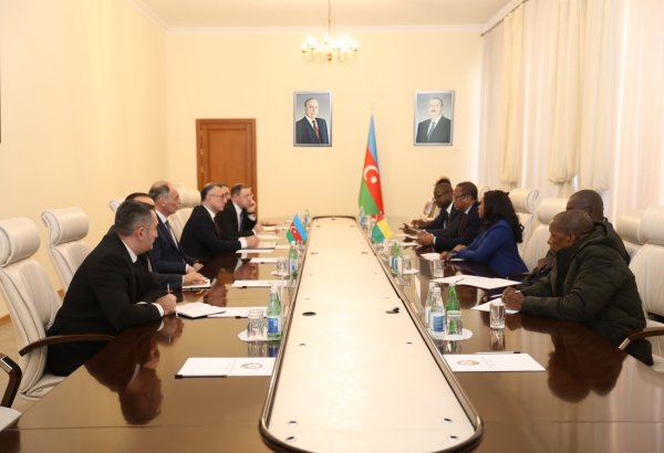 Azərbaycan və Qvineya-Bisau arasında tibb sahəsində əlaqələrin inkişafı müzakirə edilib (FOTO)
