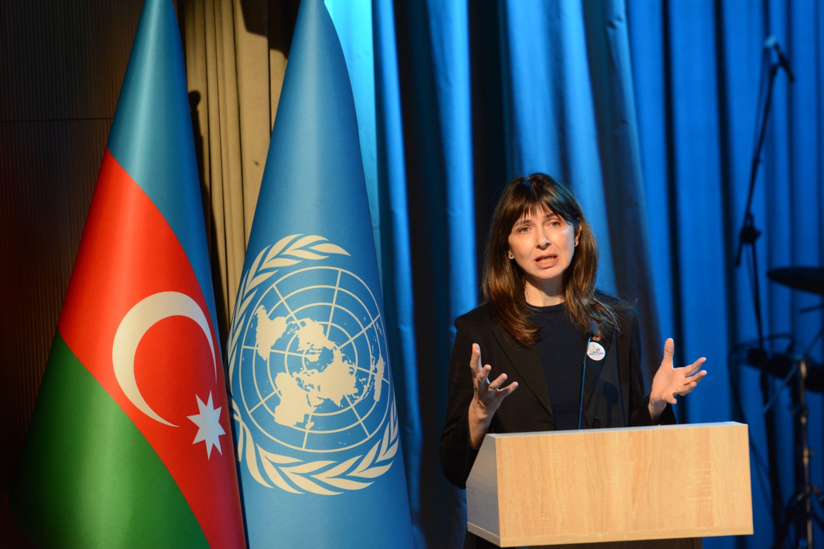NDC-lərin hazırlanmasında məhdud imkanlı insanlar nəzərə alınmalıdır - Vladanka Andreyeva