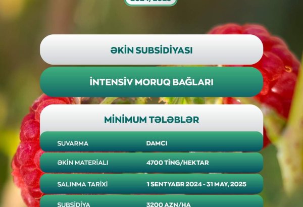 Fermerlərə 3200 manat birdəfəlik əkin subsidiyası veriləcək