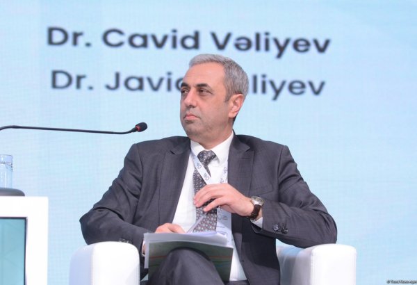 Bakıda “Beynəlxalq vəkillik və diplomatiyanın rolu” adlı panel sessiyası keçirilib (FOTO)