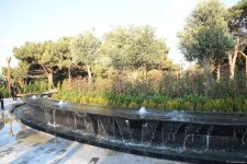 Bakıda 90 yaşlı təbiət fondu - Mərkəzi Nəbatat Bağından FOTOREPORTAJ