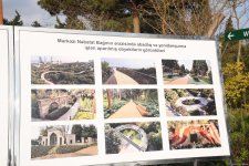 Bakıda 90 yaşlı təbiət fondu - Mərkəzi Nəbatat Bağından FOTOREPORTAJ