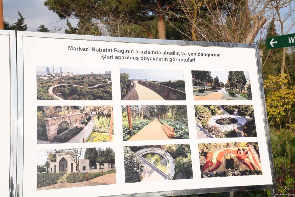 Bakıda 90 yaşlı təbiət fondu - Mərkəzi Nəbatat Bağından FOTOREPORTAJ