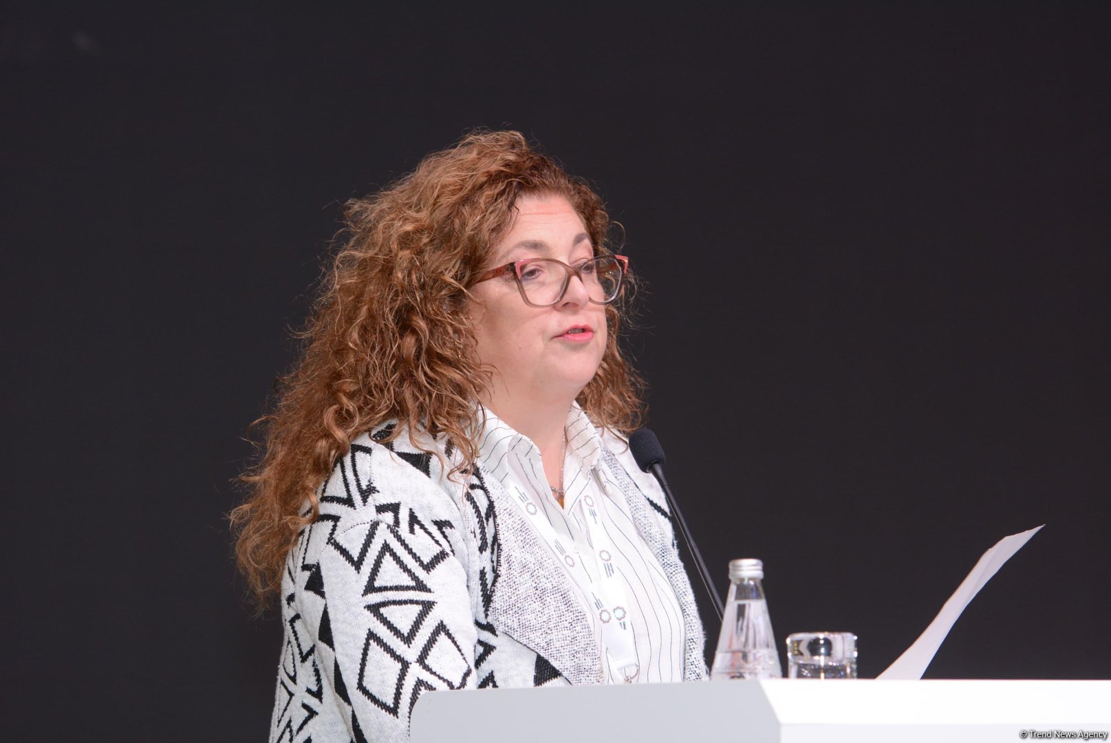 Bakıda “Beynəlxalq vəkillik və diplomatiyanın rolu” adlı panel sessiyası keçirilib (FOTO)