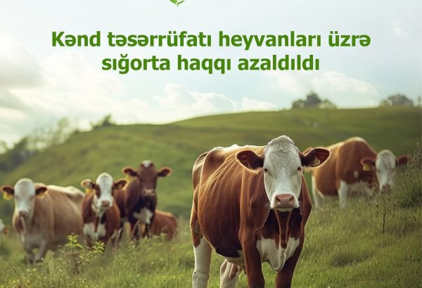 Kənd təsərrüfatı heyvanlarının sığortalanması tarifləri azaldılıb