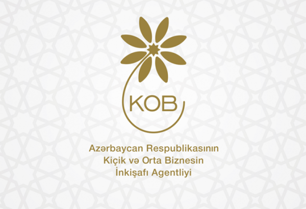 Regionlarda sahibkarlıq fəaliyyəti üçün imkanlar: KOB evləri, KOB dostları, KOB inkişaf mərkəzləri (FOTO)
