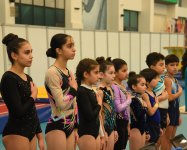 Batut gimnastikası üzrə 8-ci  və Tamblinq üzrə 20-ci Ölkə birinciliyi və Bakı çempionatı keçirilir  (FOTO)