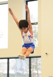 Batut gimnastikası üzrə 8-ci  və Tamblinq üzrə 20-ci Ölkə birinciliyi və Bakı çempionatı keçirilir  (FOTO)