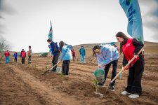 “Azərbaycan Könüllülük Həftəsi 2024” çərçivəsində  “Eko təşəbbüslər” günü həyata keçirilib (FOTO)