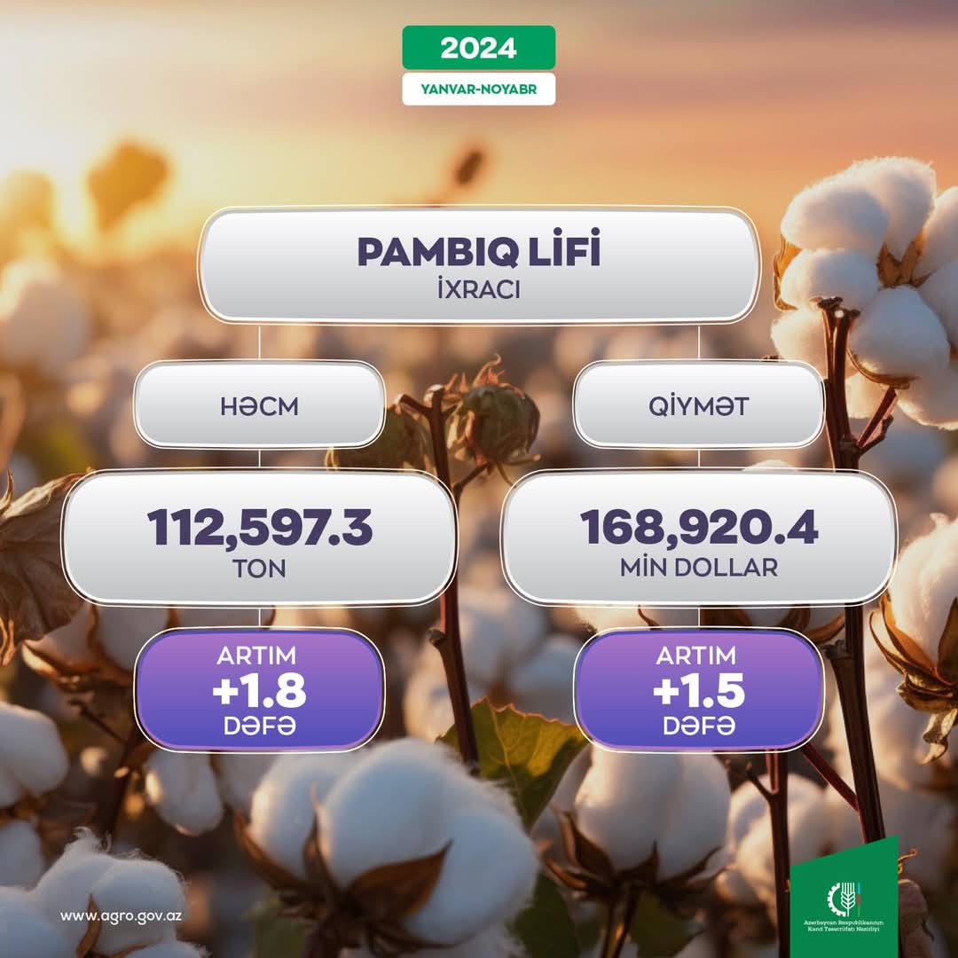 Pambıq lifi ixracı Azərbaycana 168,9 milyon dollar qazandırıb