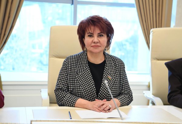 Ermənilər Xocalıda təkcə insanlarımıza qarşı deyil, tariximizə, mədəniyyətimizə qarşı da cinayət törədib - Deputat