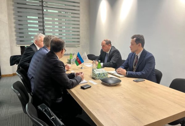 Azərbaycan ilə İsveç Xəzərdə külək enerji layihələrində əməkdaşlıq məsələlərini müzakirə edib (FOTO)
