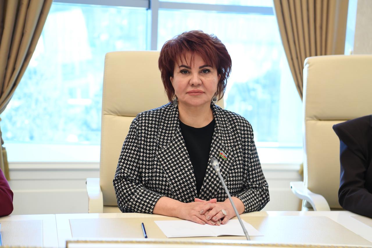 Ermənilər Xocalıda təkcə insanlarımıza qarşı deyil, tariximizə, mədəniyyətimizə qarşı da cinayət törədib - Deputat