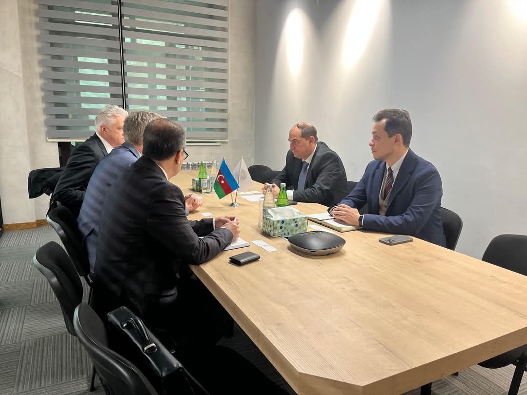 Azərbaycan ilə İsveç Xəzərdə külək enerji layihələrində əməkdaşlıq məsələlərini müzakirə edib (FOTO)