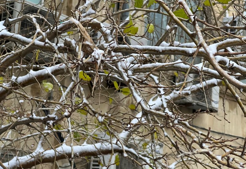 Bakıda sulu qar yağacaq - XƏBƏRDARLIQ