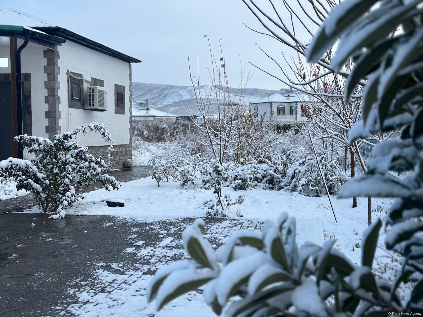 Ağalıda qarlı səhər - FOTOREPORTAJ
