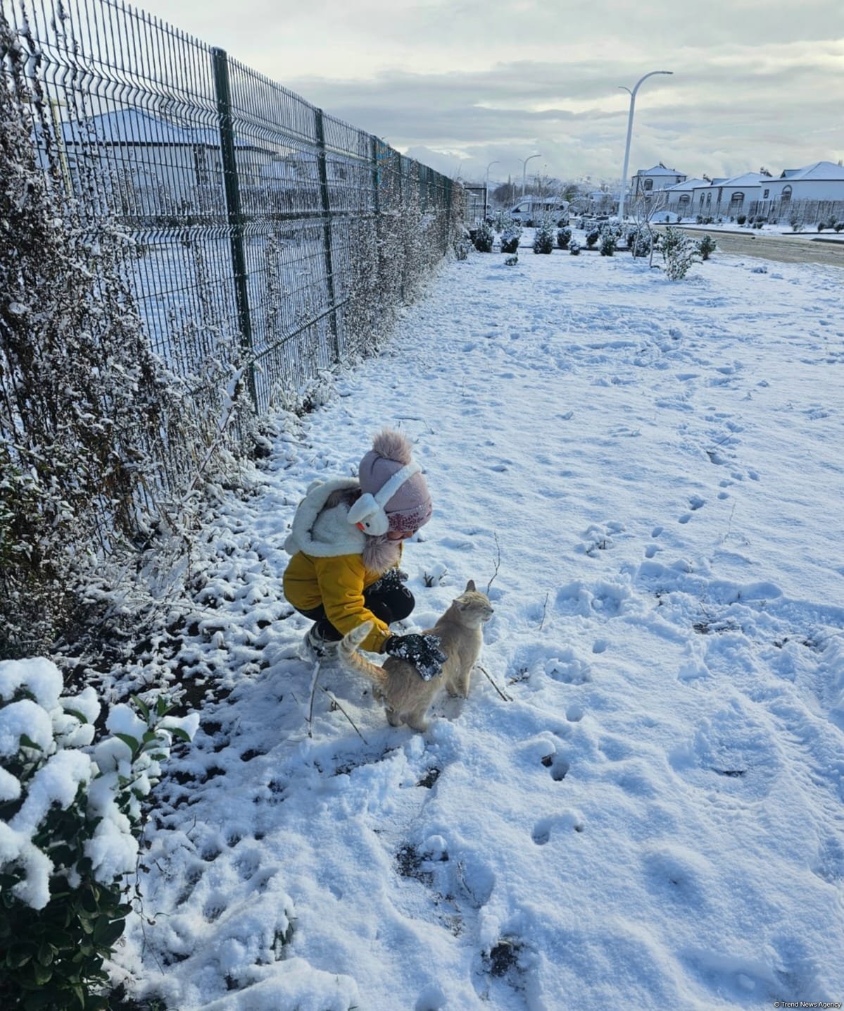 Ağalıda qarlı səhər - FOTOREPORTAJ