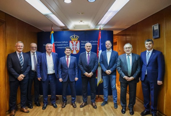 Azərbaycanla Serbiya arasında enerji əməkdaşlığının inkişafı müzakirə olunub