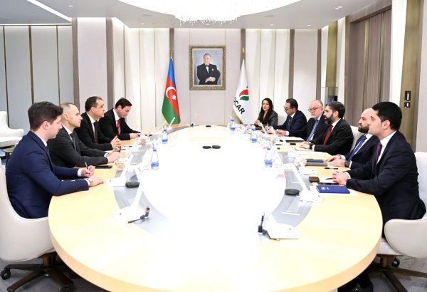 Azərbaycanla Macarıstan arasında bərpa olunan enerji ilə bağlı mövzulara dair fikir mübadiləsi aparılıb (FOTO)