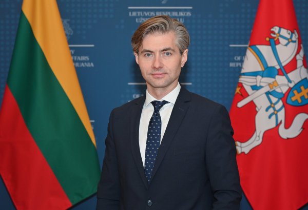Litva XİN rəhbəri Azərbaycan təyyarəsinin qəzaya uğraması ilə bağlı başsağlığı verib