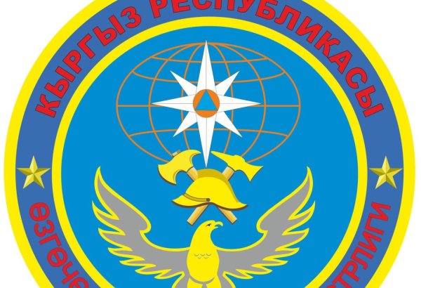 Qırğızıstanın üç vətəndaşı AZAL təyyarəsinin qəzasında sağ qalıb